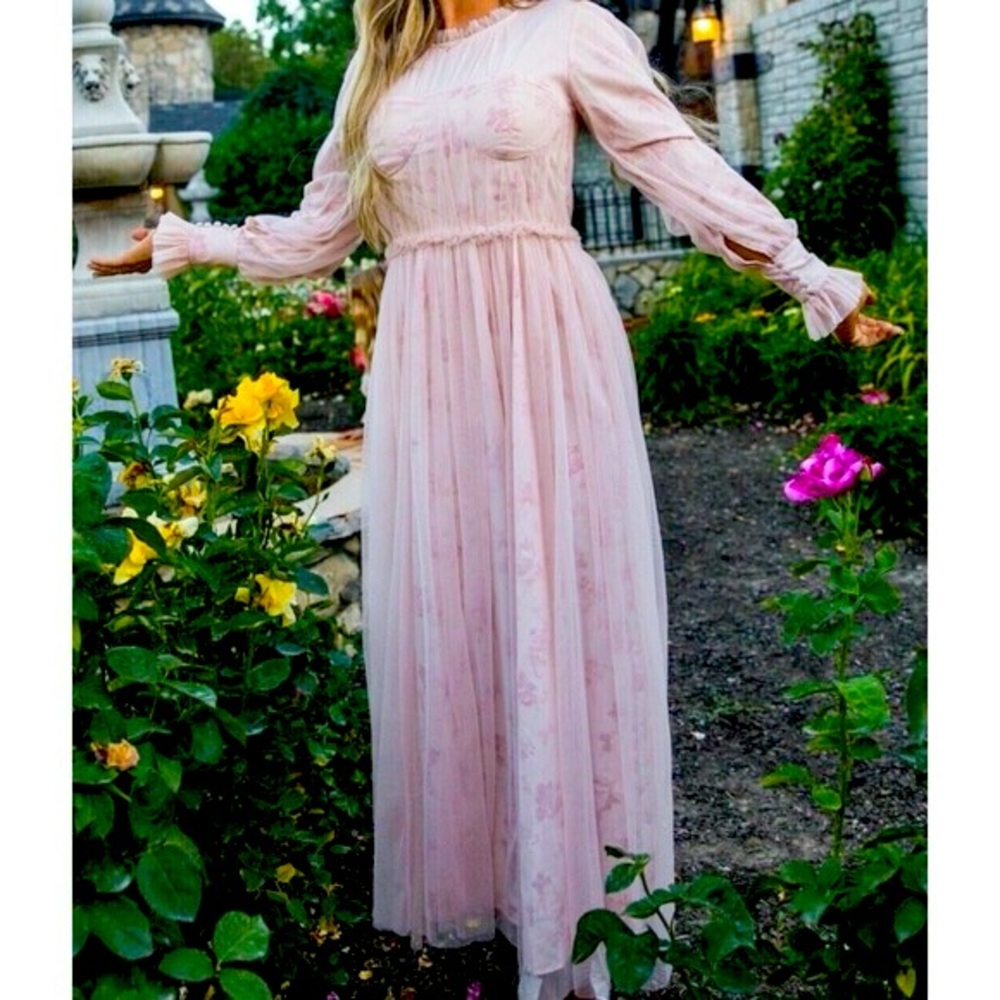 Ivy City Co Last Songbird Dress Medium NWT